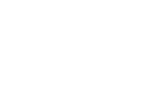 黄天鹅